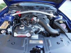 Ford Performance přední horní rozpěra - Ford Mustang 3.7 V6 (10 - 14)
